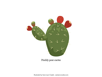 Prickly pear cactus anthropology botanical illustration cactus digital art educational illustration flora mexico prickly pear sciart