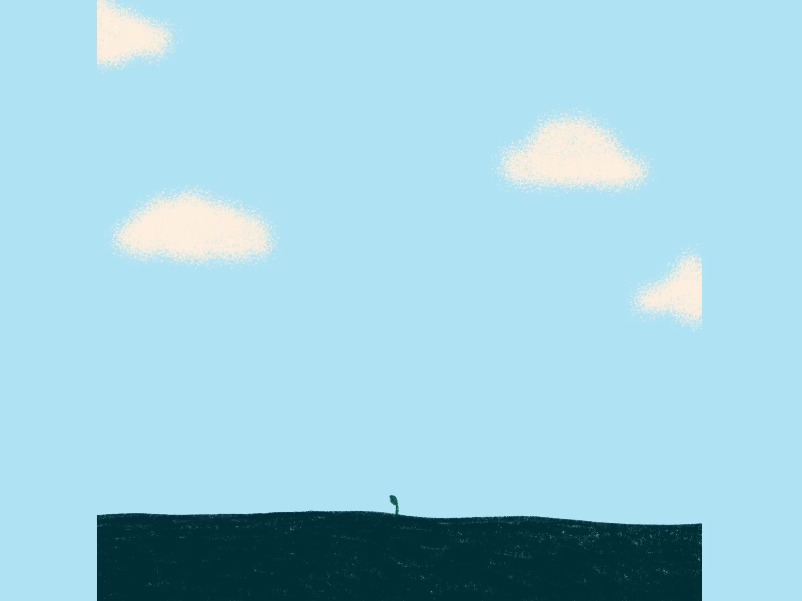 Seed to Sequoia by Andrea Rochelle on Dribbble