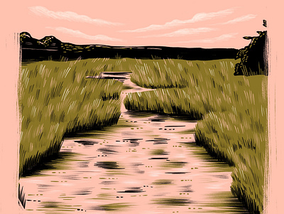 Delaware camp delaware explore hike illustration landscape marsh nature run swamp