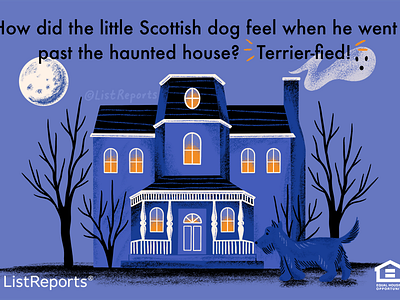 Terrier-fied! dog halloween haunted haunted house home house real estate realtor terrier