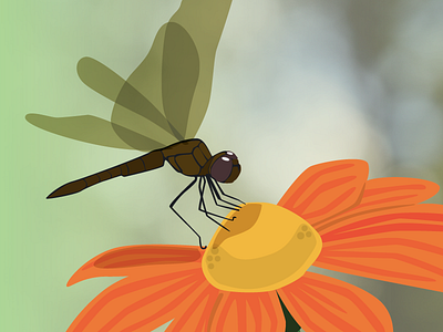 Dragonfly graphic design illustration wildlife