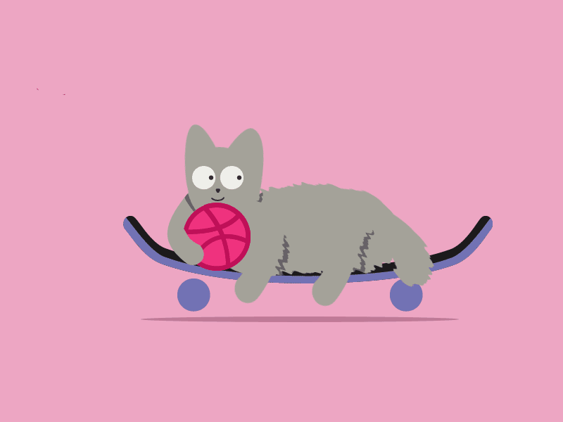 first shot by An Esherik on Dribbble