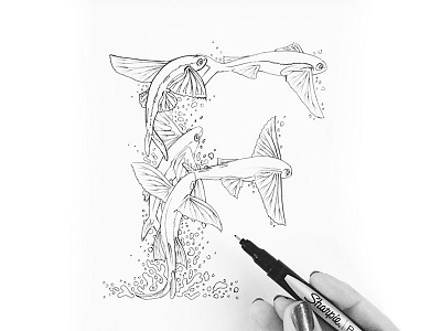 F is for Flying Fish f illustration lettering type typography