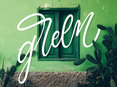 Green green lettering procreate type typography