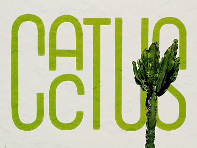 Cactus apple pencil cactus lettering procreate type typography