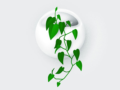 My Plants: Jasper apple pencil hand-drawn illustration ipad pro philodendron plant plants procreate