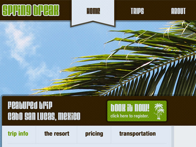 Spring Break travel web design