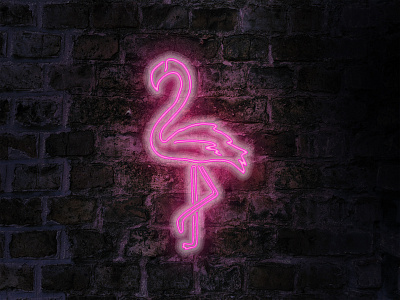 Flamingo (2018)