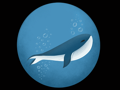 Whale illustration flat illustration procreate ui