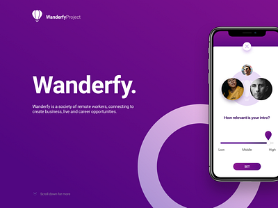 Professional connections Mobile App: Wanderfy app application business connection contacts interface ios iphone mobile ui ui design ux uxui