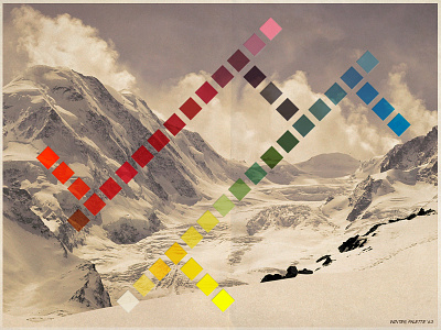 Winter Palette '63 branding calm color palette natural organic snow spectrum subtle winter
