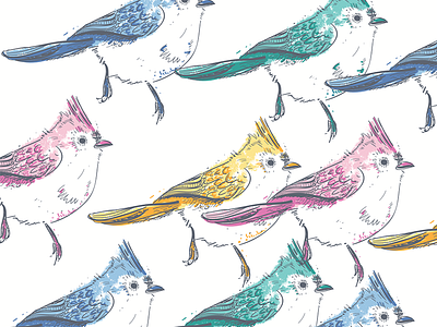 Tufted Titmouse - "Spring songs" bird coffee cute graphic illustration mint nature pastel song spirit spring titmouse