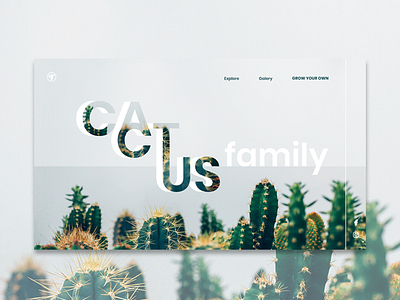 Cactus family cactus design landing page web deisgn