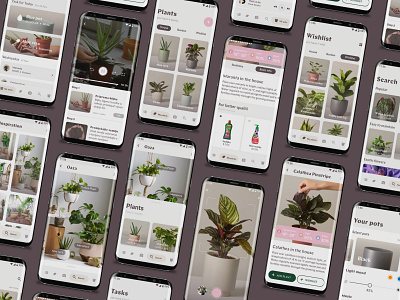 Healthyflow app app branding clean design flat flowers grid minimal typography ui ux web