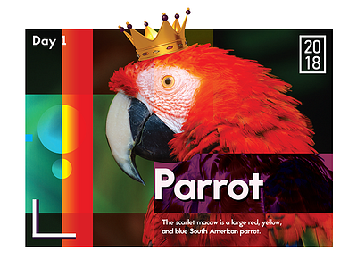 Daily Poster 1: Parrot