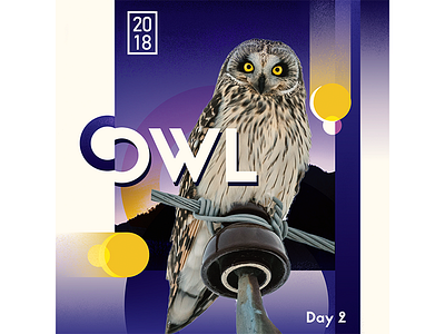 Daily Poster 2: Owl