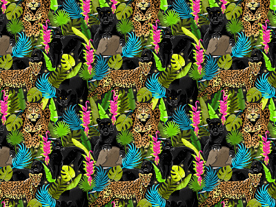 Wild cats pattern