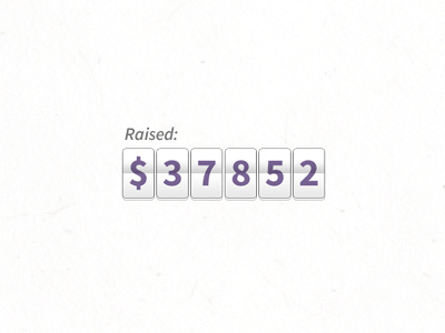 Raised: $37 852 $37852 flipper money raised tag