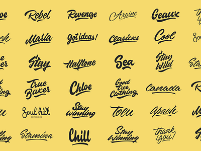 Lettering Collection branding calligraphy clothing design font free hand lettering identity lettering logo logotype mark packaging script sketch sketches streetwear type typo typography