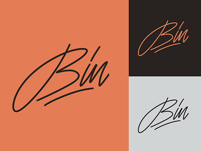 Bin - Personal Logo Sketch branding calligraphy clothing design fashion font free hand lettering identity lettering logo logotype mark packaging script sketches streetwear type typo typography