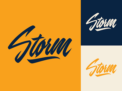 Storm - Logo for Porsche-tuning company branding calligraphy clothing design fashion font free hand lettering identity lettering logo logotype mark packaging script sketches streetwear type typo typography