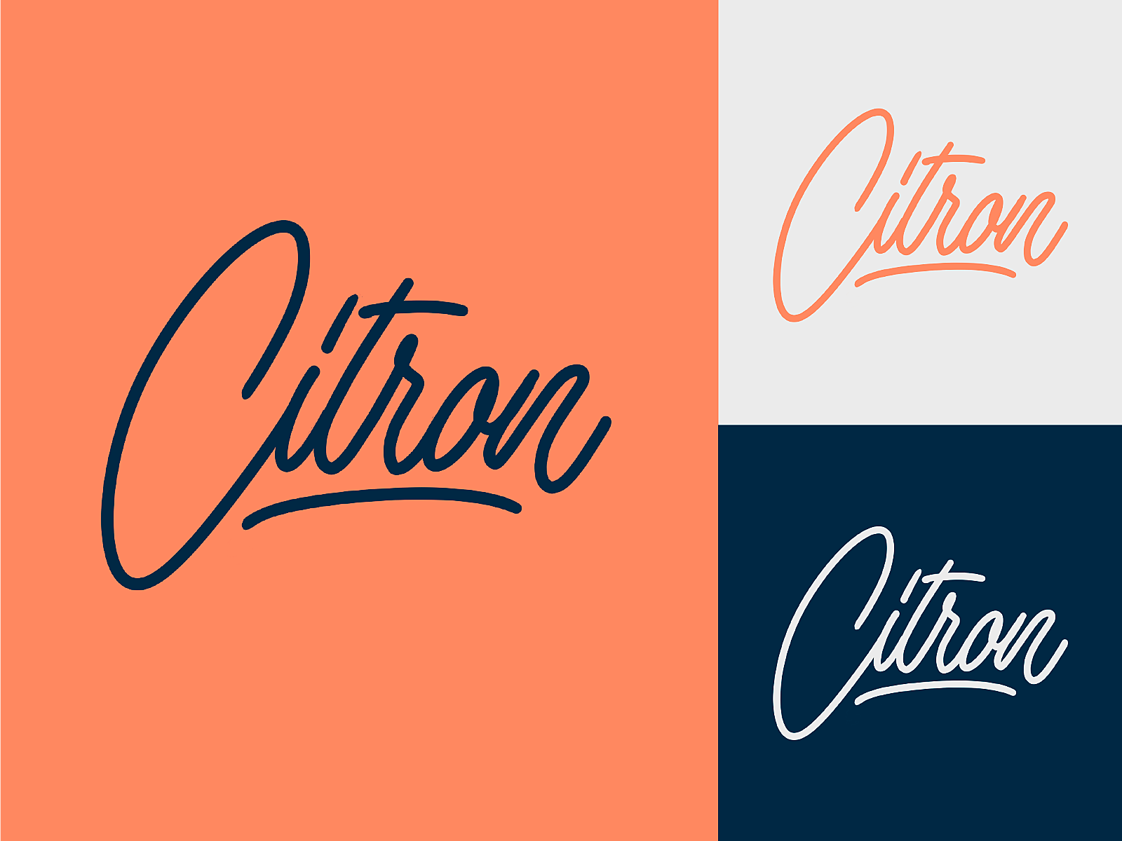 Citron Sketch For Jam Packaging By Yevdokimov On Dribbble