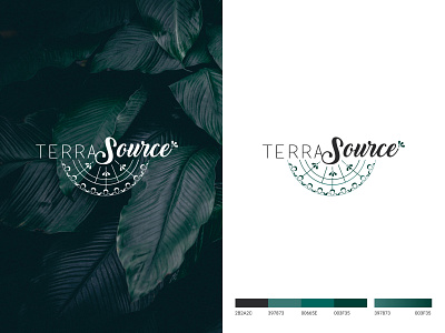 LOGO TERRA SOURCE branding branding and identity branding concept branding design design illustration logo logotype typography vector