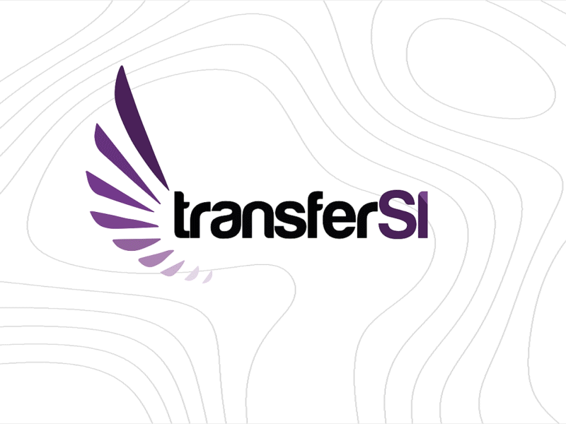 Advertising ▸ TransferSi ® Spot Animado