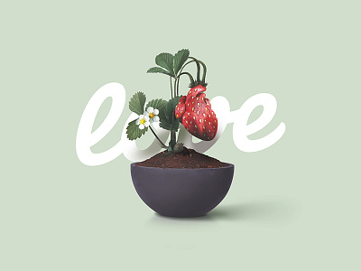 love flower fruit love photo strawberry typography