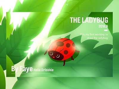 Hello dribbble lady bug