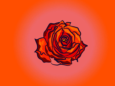 Rose Illustration