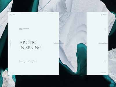 Ecology Safaris - Design Concept aftereffects animation antarctica composition design art ecology figma grid ice safari snow typogaphy ui uiux