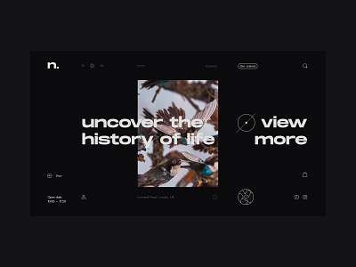 Screen concept: History Museum animation art banner editorial interface typography ui ux