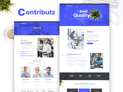 Contributz — Business Consulting Elementor Template business consulting demo services skin web design website wordpress