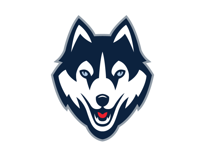 Uconn Huskies Logo Tweak animation gif huskies husky illustration logo mark redesign