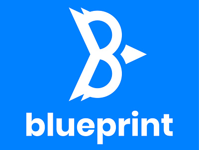 Blueprint blueprint design discord gaming illustrator logo vector