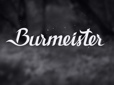 Burmeister fat.max fatfullin lettering logo logotype
