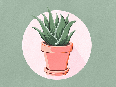 Aloe exercise aloe cactus illustration plant pot procreate simple