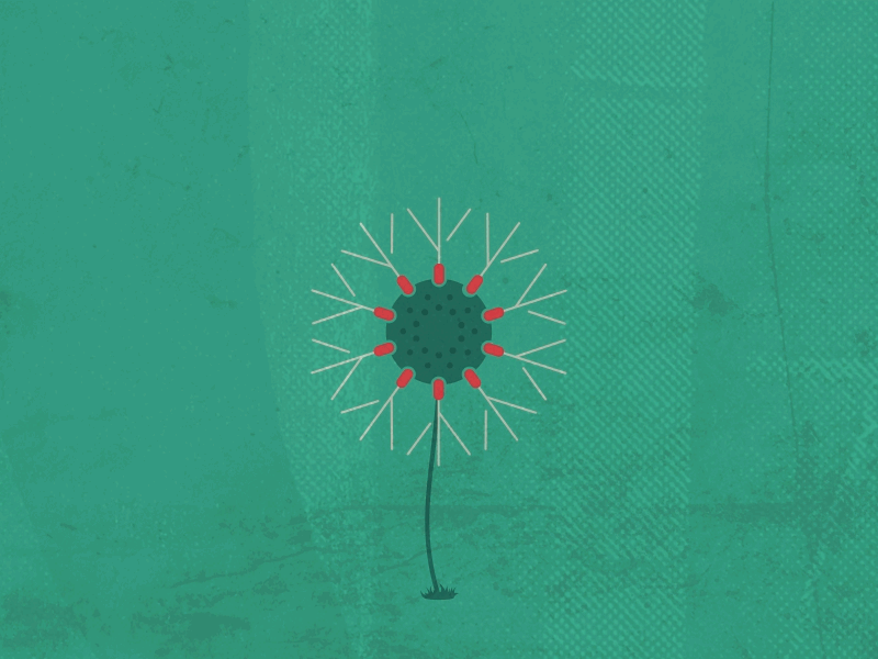 Dandelion Animation 2d after effects animated gif animation blow dandelion illustration whisper wind windy