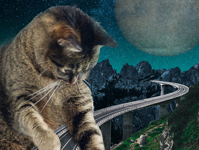 No Consequences cat collage collageart digital collage lunar procreate surreal