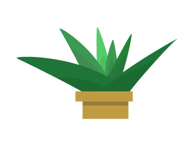 Succulent aloe houseplant illustration nature plant plants succulents