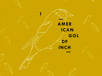 American Goldfinch animal bird goldfinch illustration pattern sketch texture wacom