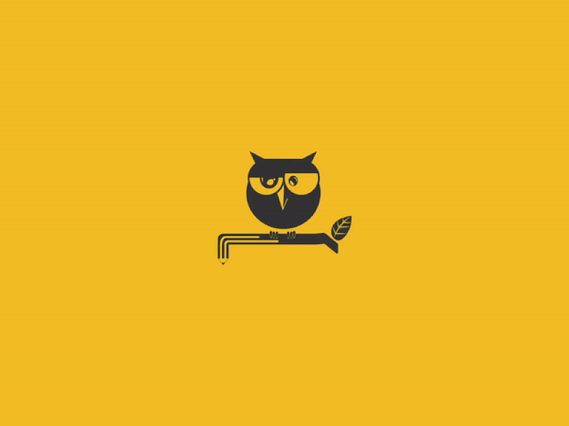 owldesk after effects animation animated flat flat colors flat images graphics illustrator logo logo animation owl vector