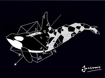 Whale Geometric coreldrawx7 design flat illustration vector