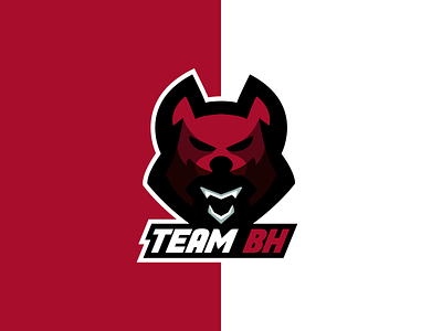 Team BH adobe ilustrator branding clean design esportlogo esports esports mascot esportslogo logo mascot mascot logo team vector