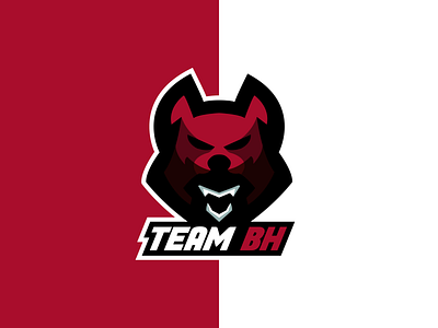 Team BH