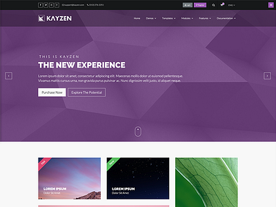 Kayzen alternate homepage preview flat modern purple shop theme ui ux web design website