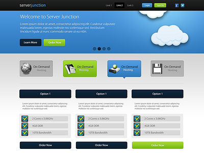 Server Junction hosting servers web design web hosting website