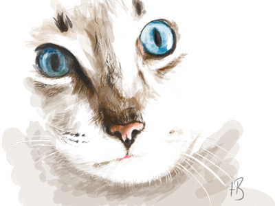 Cat cat digital illustration sketch