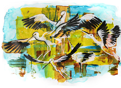 White Storks acrylic animals artwork bird colorful drawing ecological graphic illustration ink mix media nature stork texture watercolor wild wildlife